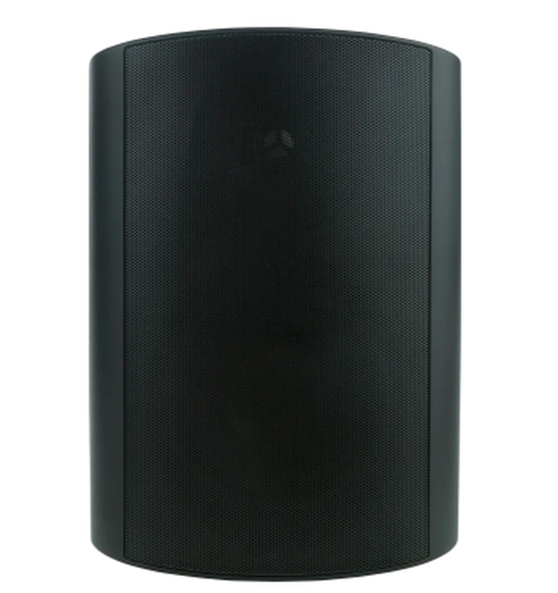 Громкоговоритель Triad Outdoor OD25 Control4 (пара)