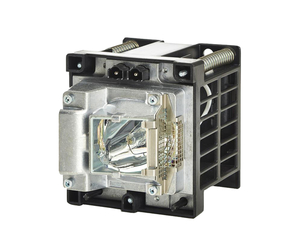 Lamp with housing (для DP2K-6E)