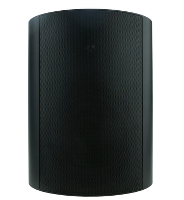 Громкоговоритель Triad Outdoor OD26 Control4 (пара)